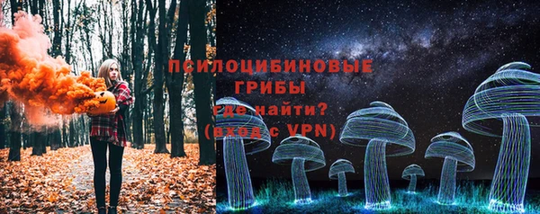 молекула духа Алексеевка